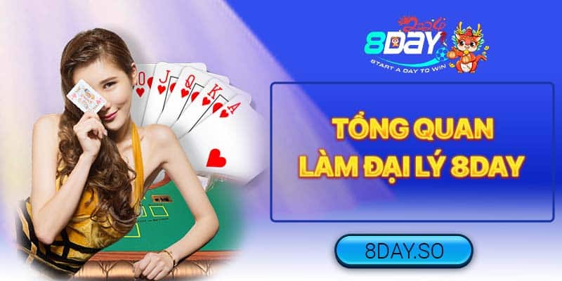 Tổng quan về Đại lý 8DAY