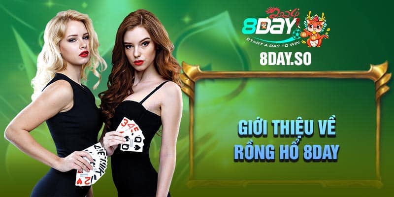 Giới thiệu về Rồng Hổ 8DAY