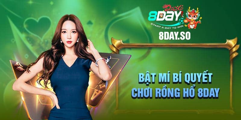 Bật mí bí quyết chơi rồng hổ 8DAY